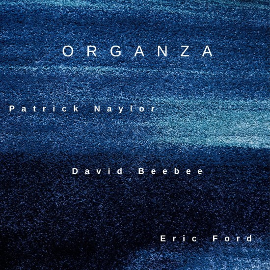 Patrick Naylor, David Beebee, Eric Ford - Organza [24-bit Hi-Res] (2025) FLAC