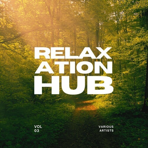 VA - Relaxation Hub [Vol. 3] (2025) FLAC