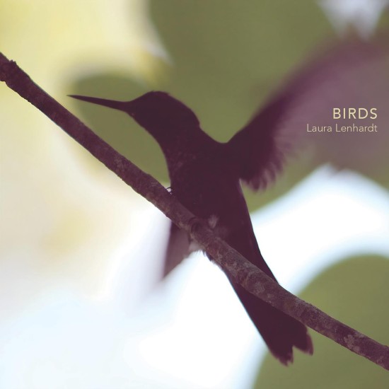 Laura Lenhardt - Birds [24-bit Hi-Res] (2025) FLAC