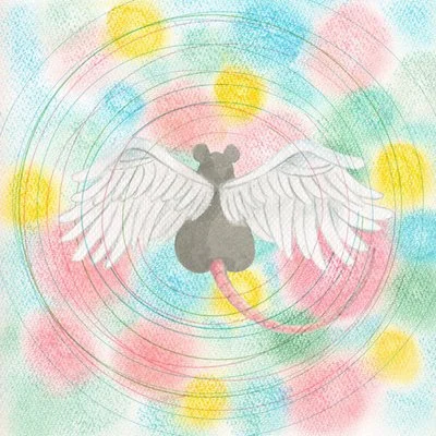 Maddie & Tae - Love & Light [24-bit Hi-Res] (2025) FLAC